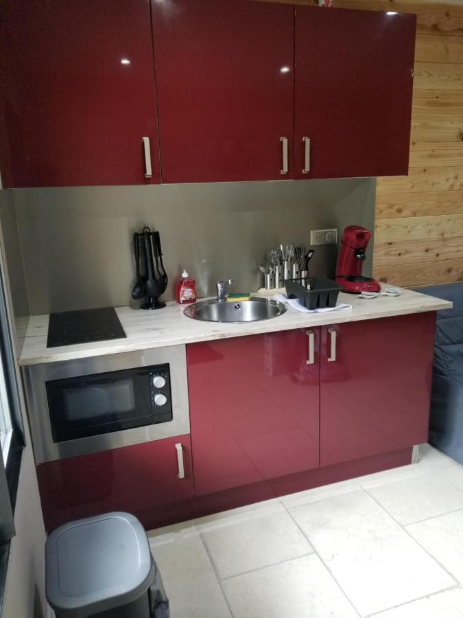 Studio Cosi Proximite Auron Saint-Étienne-de-Tinée المظهر الخارجي الصورة